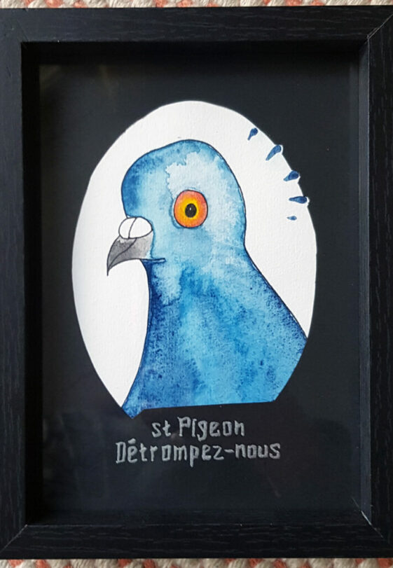 st pigeon